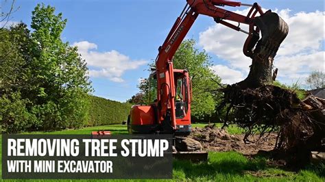 how to remove tree stumps with a mini excavator|excavator stump removal attachment.